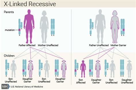 Complete androgen insensitivity syndrome causes, symptoms, diagnosis ...