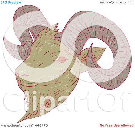 Clipart of a Sketched Drawing Styled Mountain Goat Ram Head - Royalty Free Vector Illustration ...