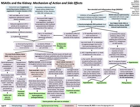 Nsaid Mechanism Of Action