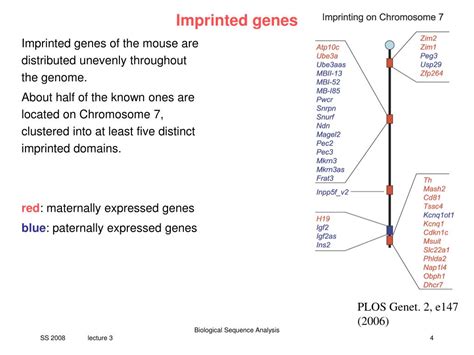 PPT - V3 regulation of imprinted genes PowerPoint Presentation, free ...