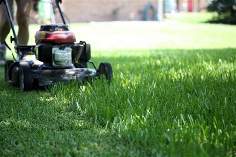 How to Tell if Lawn Mower Crankshaft is Bent: A DIY Guide – Garden Tool Expert Store