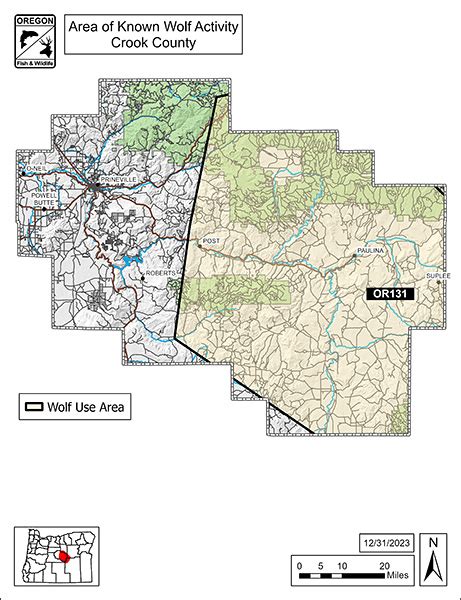 Specific Wolves and Wolf Packs in Oregon – Crook County