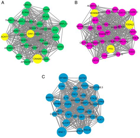 Weighted gene co‑expression network analysis to identify key modules and hub genes associated ...