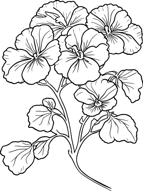 Pansy flower drawing outline, traditional pansy tattoo, pansy line drawing, vector sketch hand ...