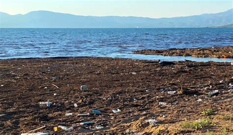 Debris From Evia Floods Washes up on Attica Coastline - GreekReporter.com