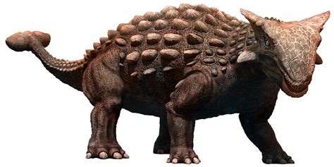 L'ankylosaurus : tout savoir sur ce dinosaure - Dino-Zoo