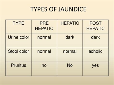 PLAB king: Jaundice and pale stools (692/1700)