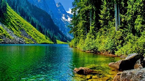 Download Awesome Nature Wallpapers in Full HD