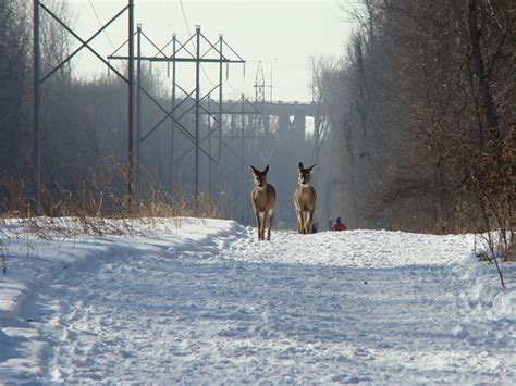 Fort Snelling State Park - Pike Island | We took a winter hi… | Flickr