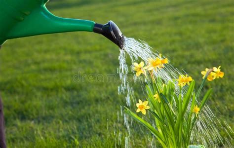 Watering Flowers stock image. Image of angelic, care, angel - 5324407