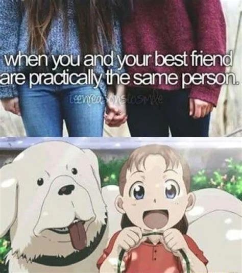 140+ Fullmetal Alchemist Memes: The Ultimate Collection – FandomSpot