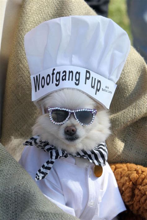 22 Cute Dog Halloween Costumes - Food Inspired Costume Ideas for Dogs ...