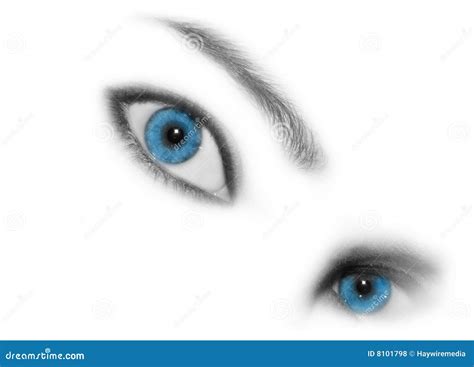 Blue Eye Stare stock photo. Image of look, backdrops, cosmetic - 8101798