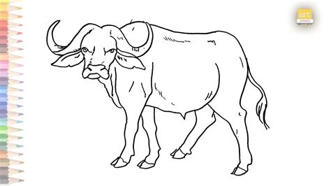 Angry Buffalo outline drawing easy | How to draw A Buffalo step by step ...