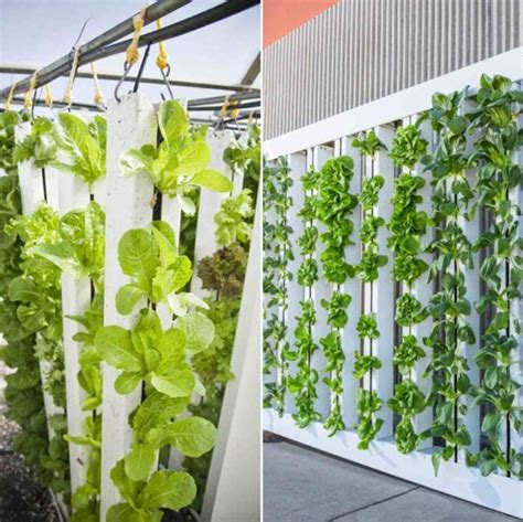 Vertical Hydroponic Gardening, Setup, Ideas, Advantages | Gardening Tips