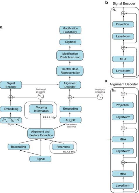 Rockfish: A transformer-based model for accurate 5-methylcytosine ...