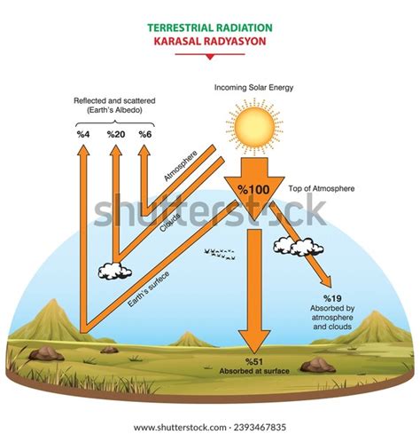 Terrestrial Radiation Vector Illustration Labeled Educational Stock ...