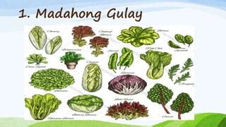 EPP 5 AGRI - Pakinabang sa Pagtatanim ng Gulay | PPT