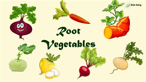 Root Vegetables Chart