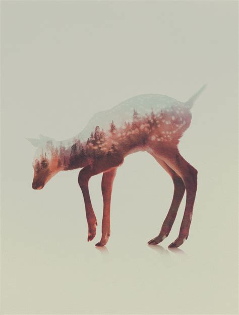 Double Exposure Animal Portraits By Andreas Lie | iGNANT.com