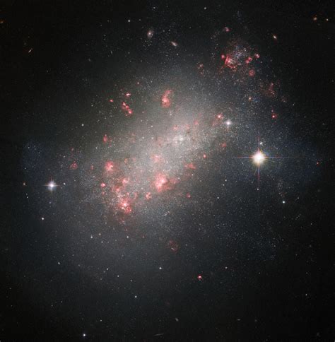 Hubble Observes Magellanic-Type Dwarf Irregular Galaxy | Sci.News