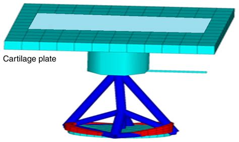 Schematic representation of the FEM. FEM, finite element model. | Download Scientific Diagram