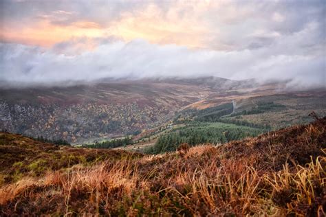 Wicklow Mountains, Ireland (6000x4000) [OC] : r/EarthPorn