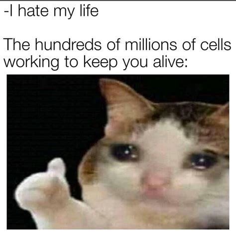 Liven Up Life With These Biology Memes - Biology | Memes