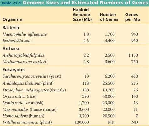 genome_sizes.html 21_T01GenomeSizes-L.jpg