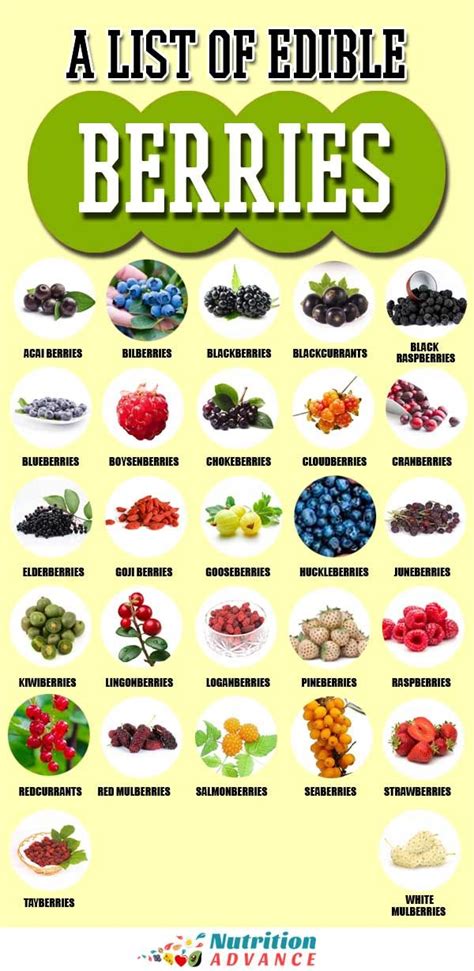 27 Different Types of Berries To Discover | Types of berries, Berries recipes, Fruit list