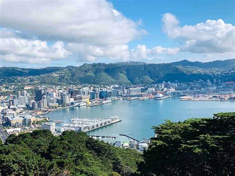 8 MUST DO Wellington Activities | A Complete 1 Day Wellington Itinerary