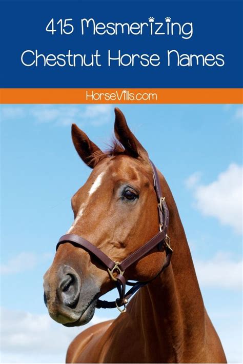 400+ Mesmerizing Chestnut Horse Names for Males and Females