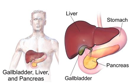 Gallbladder Cancer: Symptoms, Causes, Treatment | Dr. Nikhil Agrawal