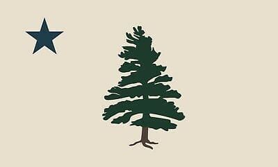Maine 1901 Pine Tree Flag - 3' x 5' Printed Nylon