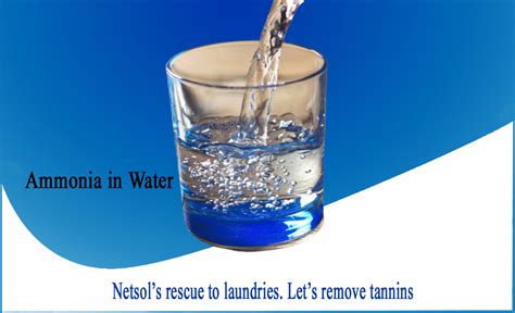 How to Remove Ammonia from Water - Netsol Water