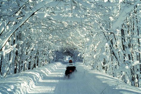 Let It Snow | Michigan travel, Upper peninsula michigan, Pure michigan