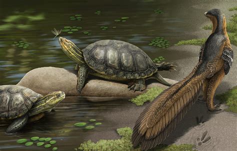 CSUF, Alabama Paleontologists Discover New Species of Giant Fossil Turtle | CSUF News