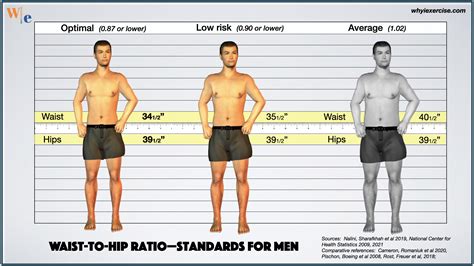 Waist-to-hip ratio: Reliable research shows if you need to lose weight