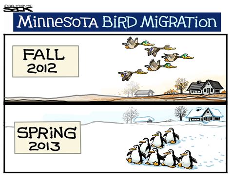 Sack cartoon: Minnesota Bird Migration