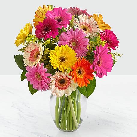 Colorful World Gerbera Daisy Bouquet (7, 12 or 18 stems) - Green Grove Fruit & Flower