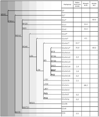 Dienekes’ Anthropology Blog: Y-chromosome haplogroup Q and Native Americans