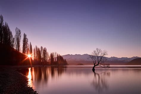 “That Tree” Again – Lake Wanaka’s Lone Willow Revisited