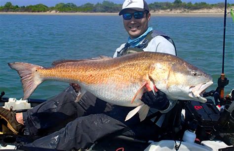 Potential World Record: 53-Pound Red Drum Caught From Kayak On Fly | GearJunkie