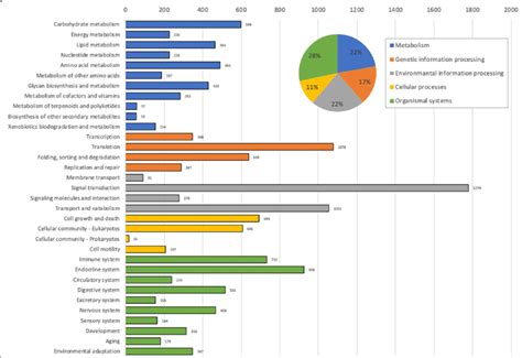 KEGG orthology distribution of annotated unigenes based on UniProt ...