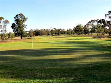 Golf Mildura: A Guide - Your Mildura | Golf, Mildura, Golf courses