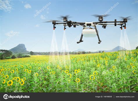 Agriculture drone spraying water fertilizer on the sunflower field ...