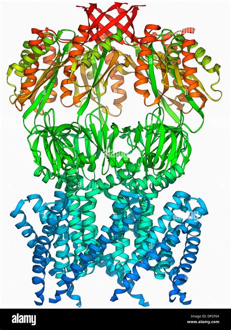 MscS ion channel protein structure Stock Photo - Alamy