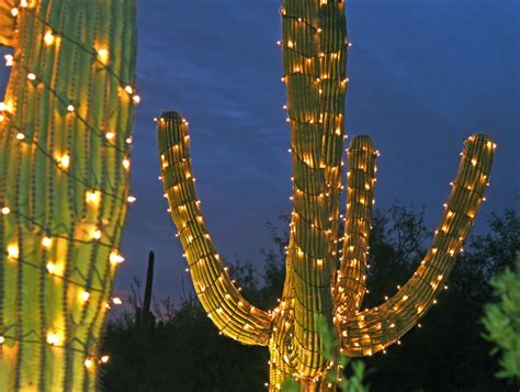 Title Loans Tucson | Enjoy These Family-Friendly Christmas Events In Tucson, Arizona