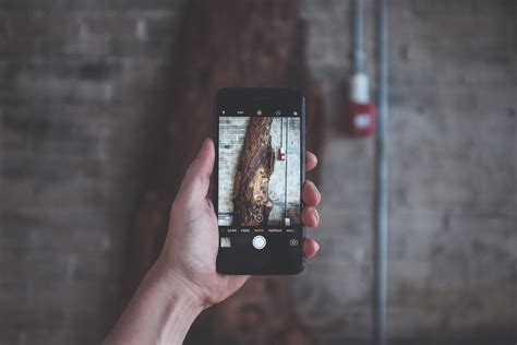 12 Tips for Improving Camera Phone Photos