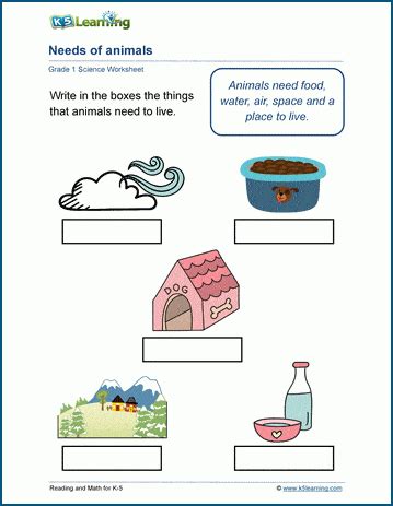 Needs of Animals Worksheet | K5 Learning